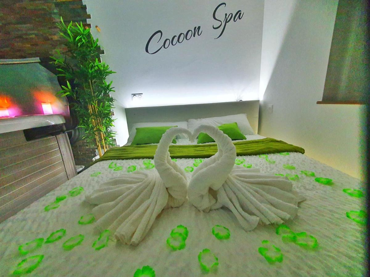 -Gite Cocoon Spa-Jacuzzi-Jardin-Parking Prive-Climatisation Holtzwihr Bagian luar foto